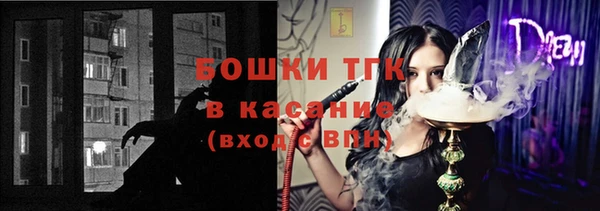 эйфоретик Баксан