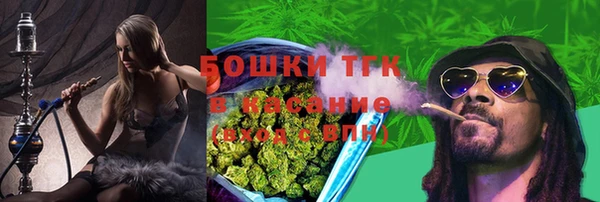 эйфоретик Баксан